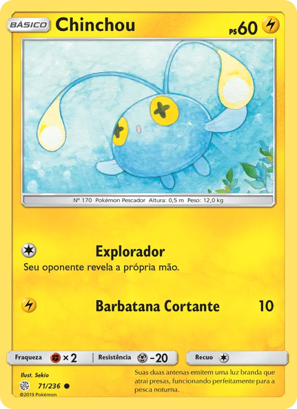 Chinchou 71/236