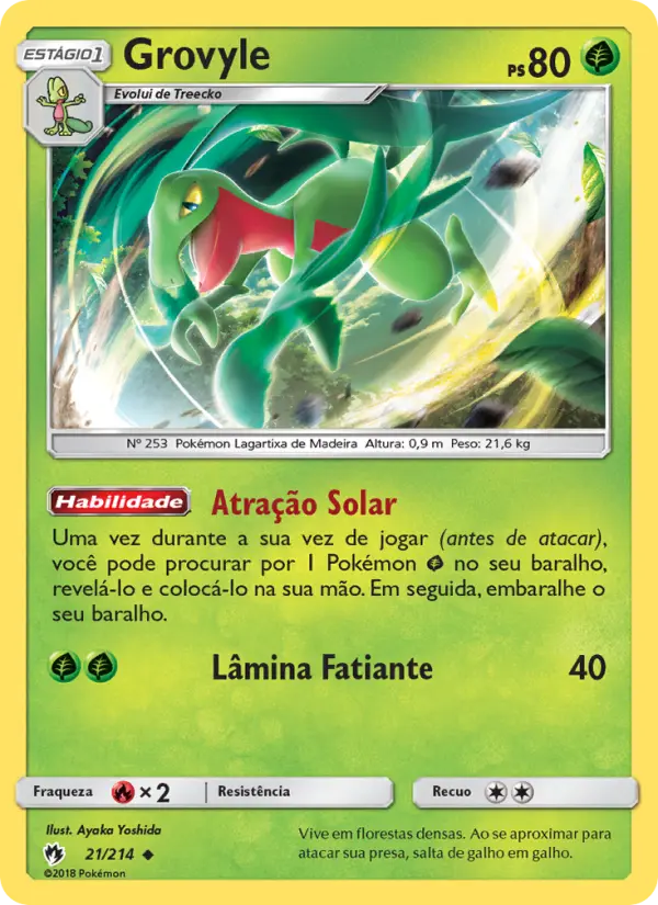 Grovyle 21/214