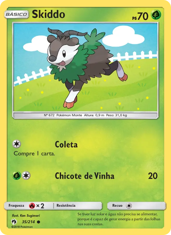 Skiddo 35/214