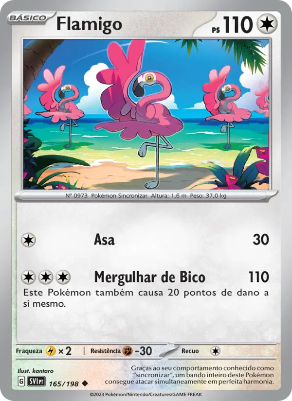 Flamigo 165/198
