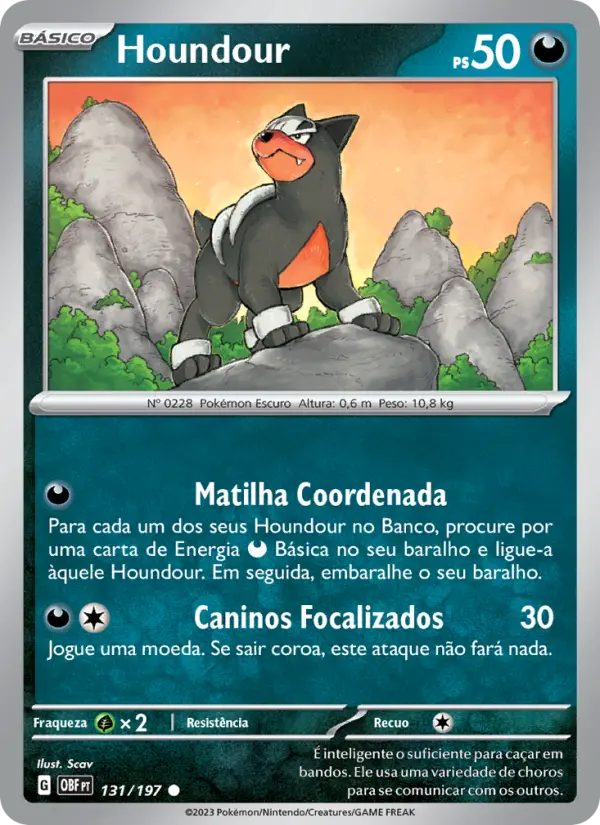 Houndour 131/197