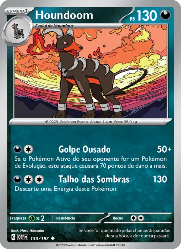 Houndoom 133/197