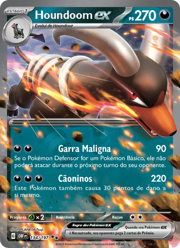 Houndoom ex 134/197
