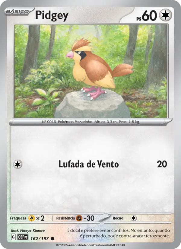 Pidgey 162/197