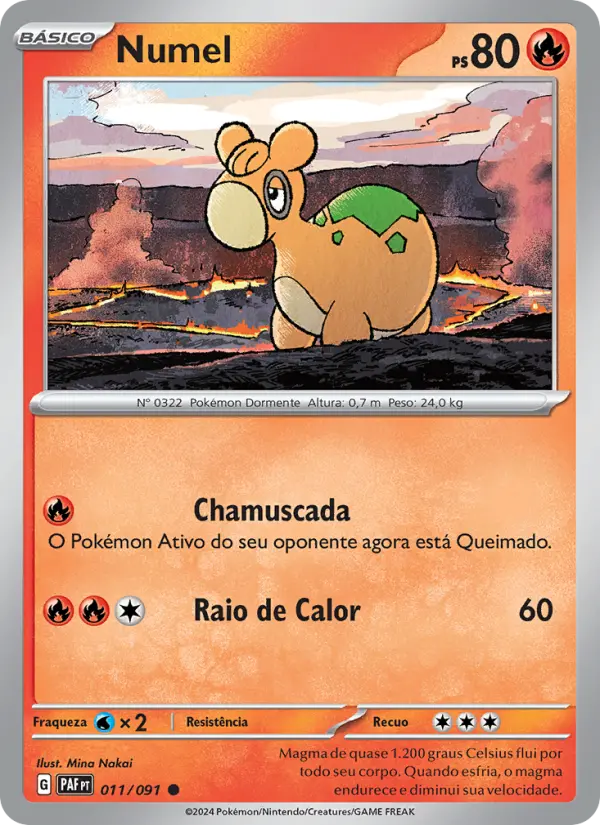 Numel 011/91