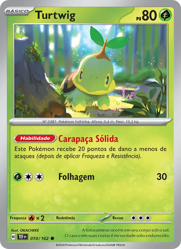 Turtwig 010/162