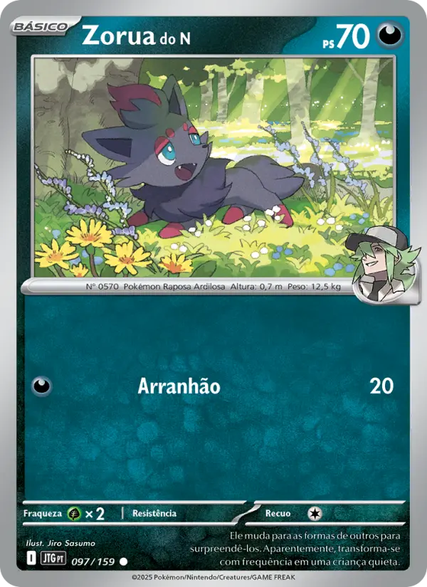 Zorua do N 097/159