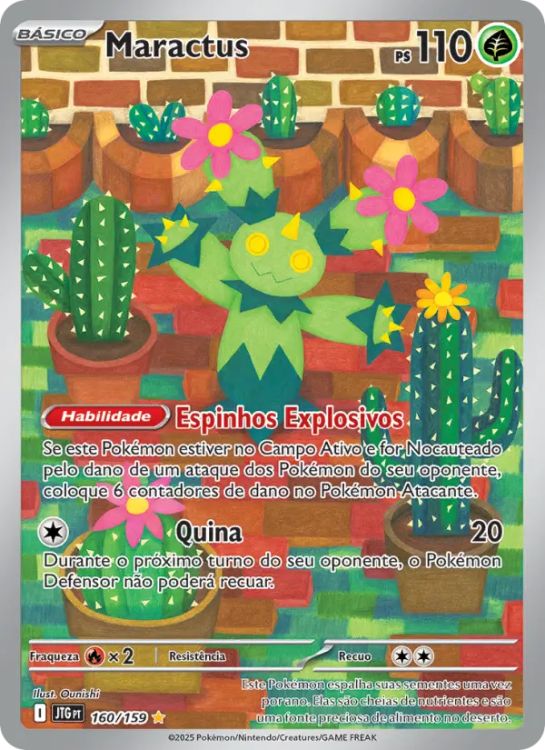 Maractus 160/159