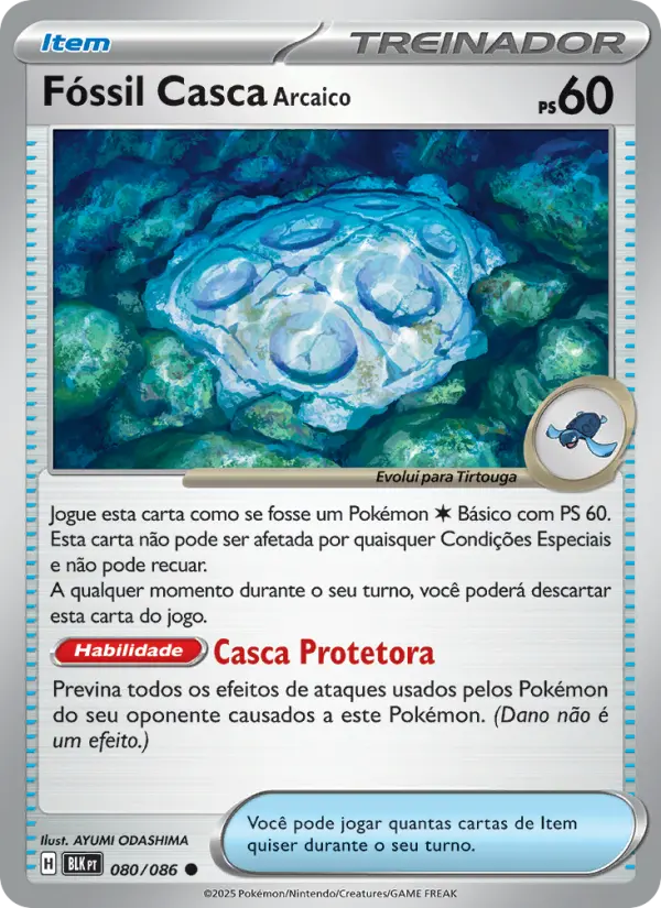 Fóssil Casca Arcaico 080/86