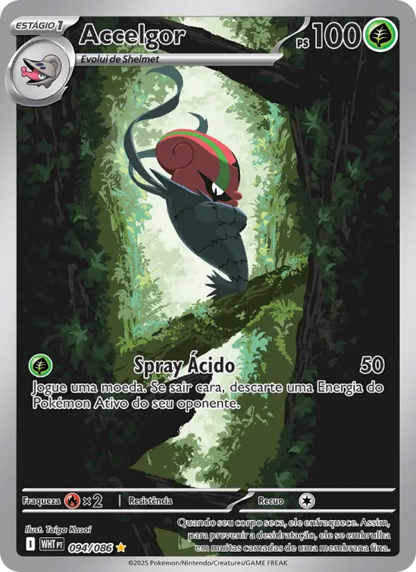 Accelgor 094/86