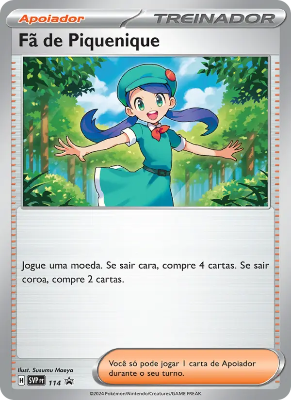 Fã de Piquenique 114/225