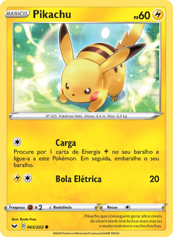 Pikachu 65/202
