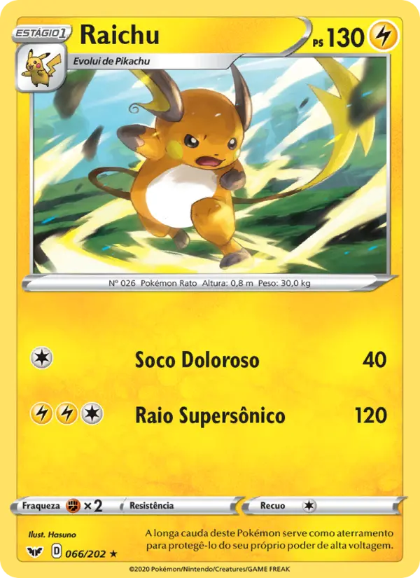 Raichu 66/202