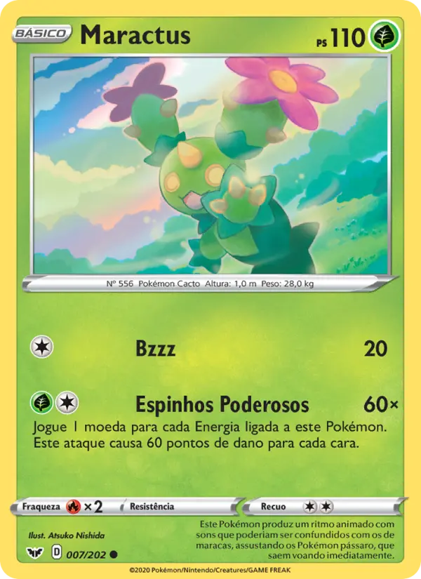Maractus 7/202