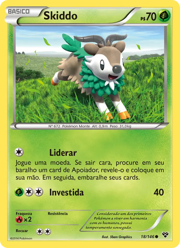 Skiddo 18/146