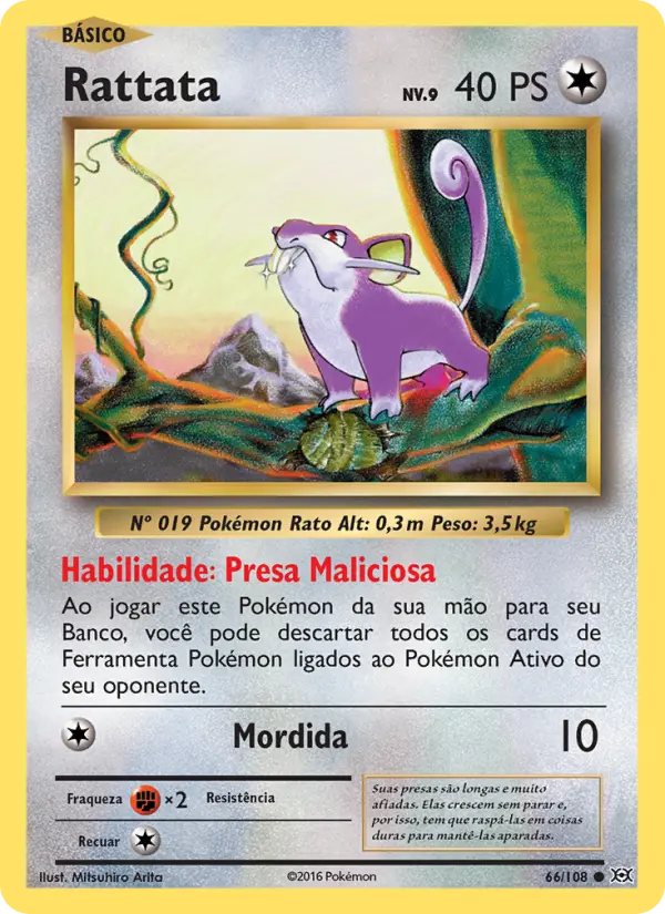 Rattata 66/108