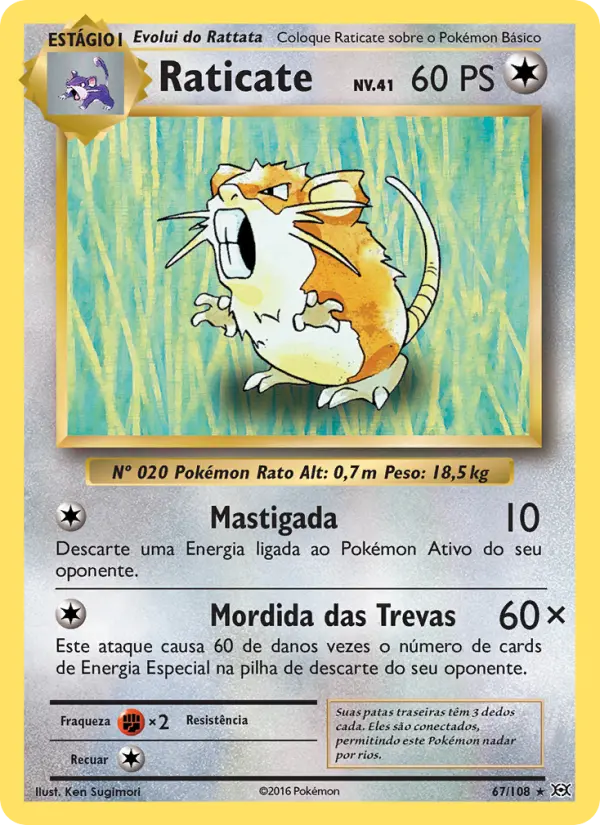 Raticate 67/108
