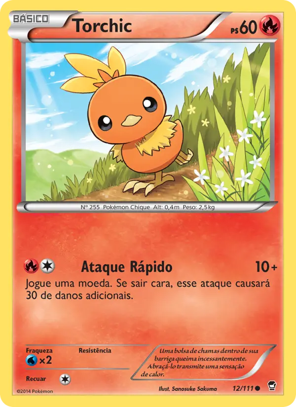 Torchic 12/111