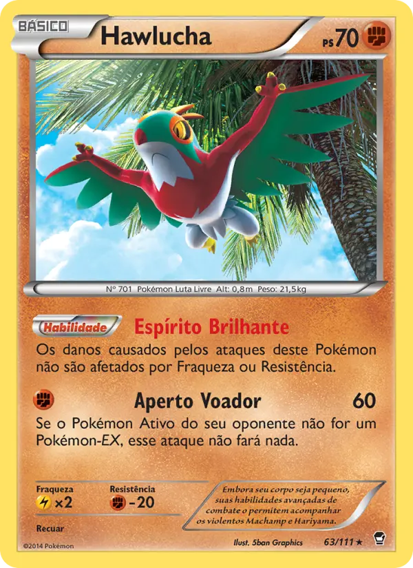 Hawlucha 63/111