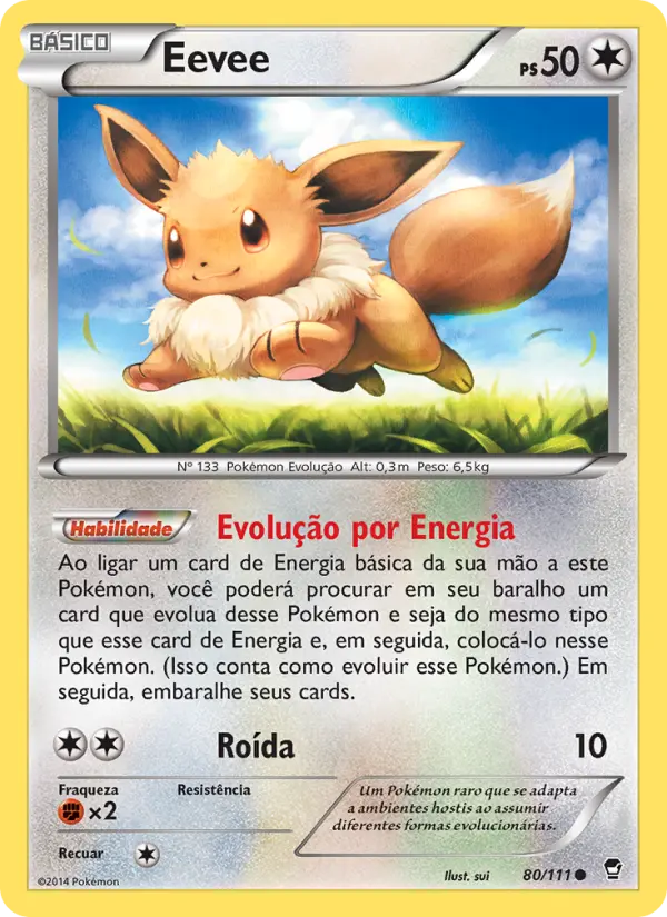 Eevee 80/111