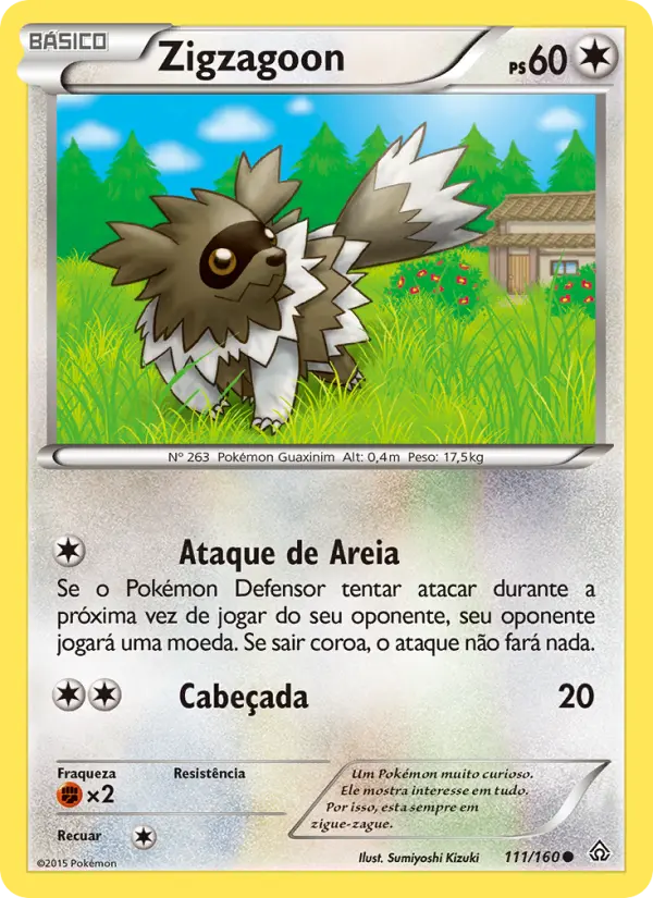 Zigzagoon 111/160