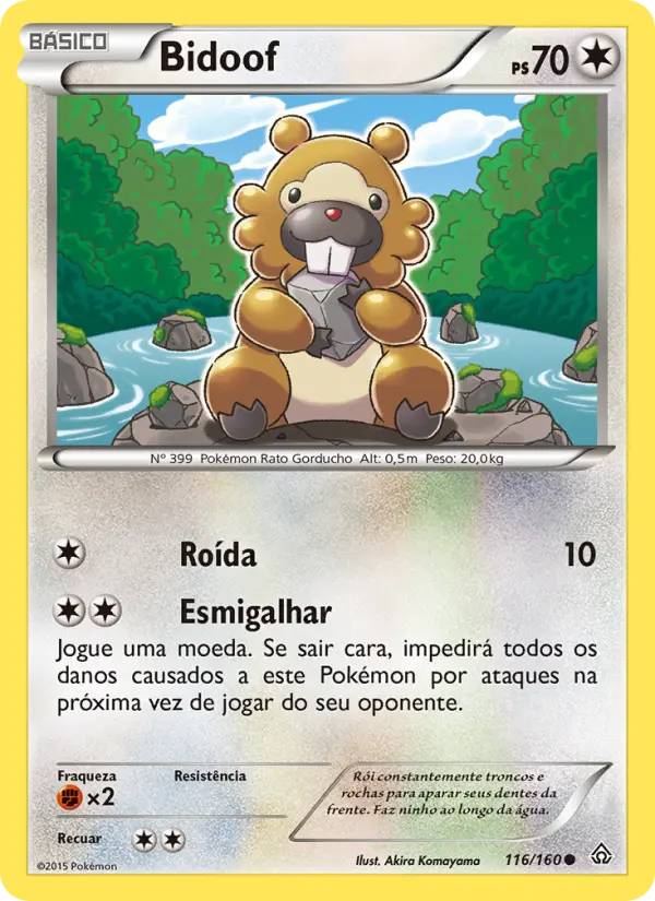 Bidoof 116/160