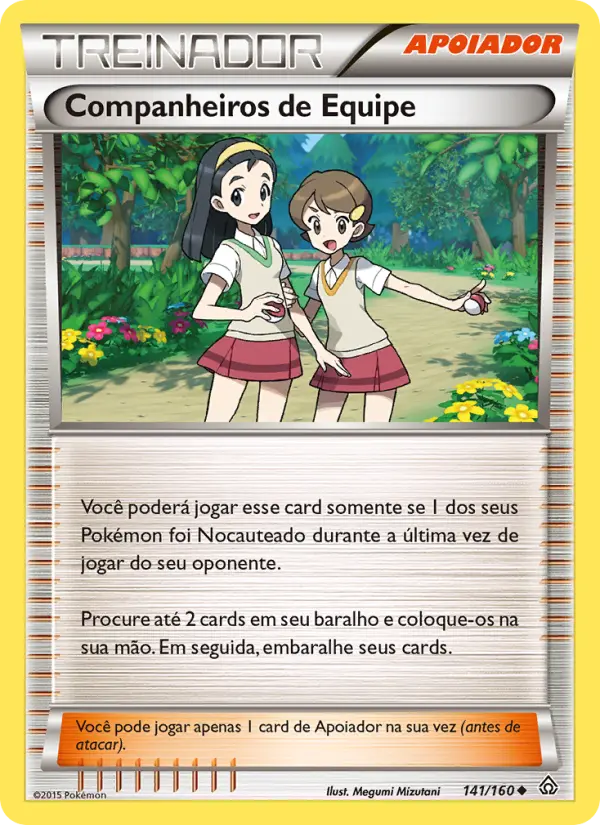 Companheiros de Equipe