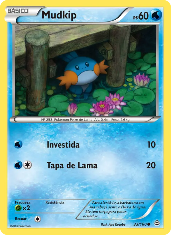 Mudkip 33/160