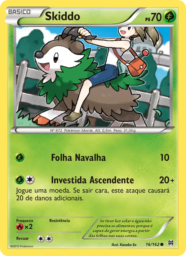 Skiddo 16/162