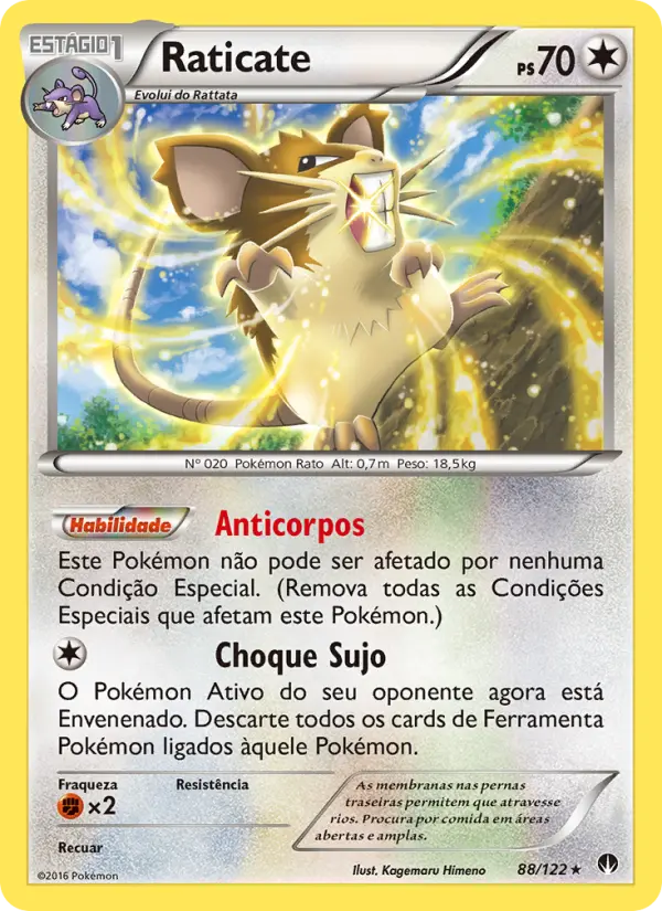 Raticate 88/122